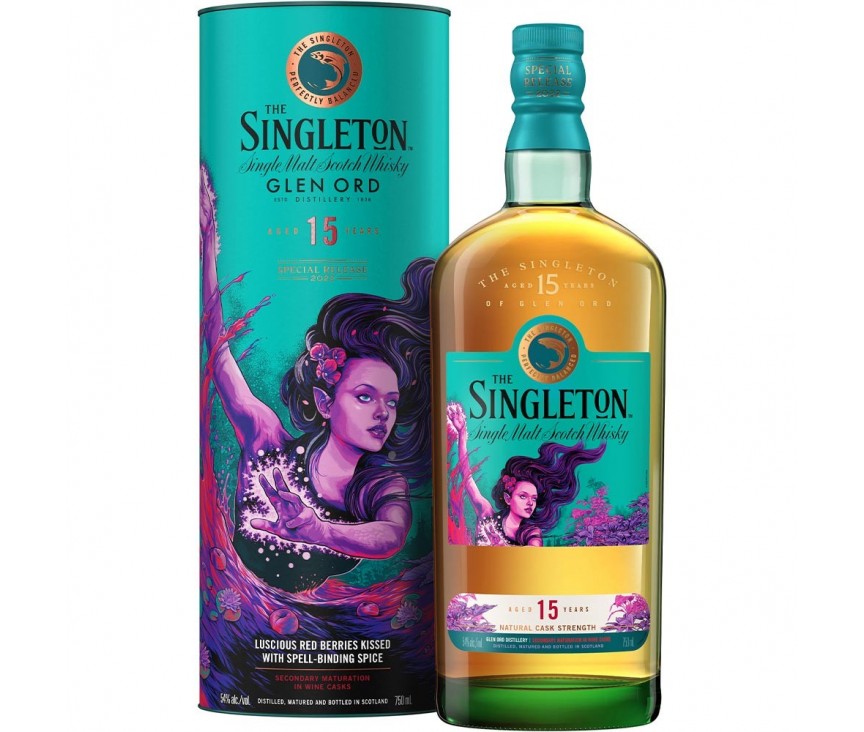 The Singleton 17 Años  Especial Release 2020