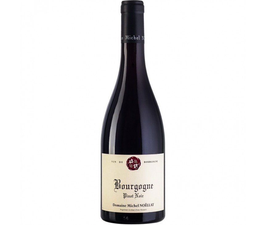 Michel Noellat Bourgogne Pinot Noir 2017