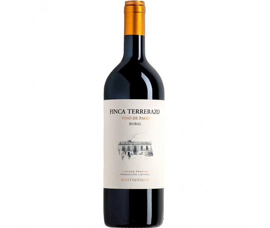 vino finca el terrerazo 2012