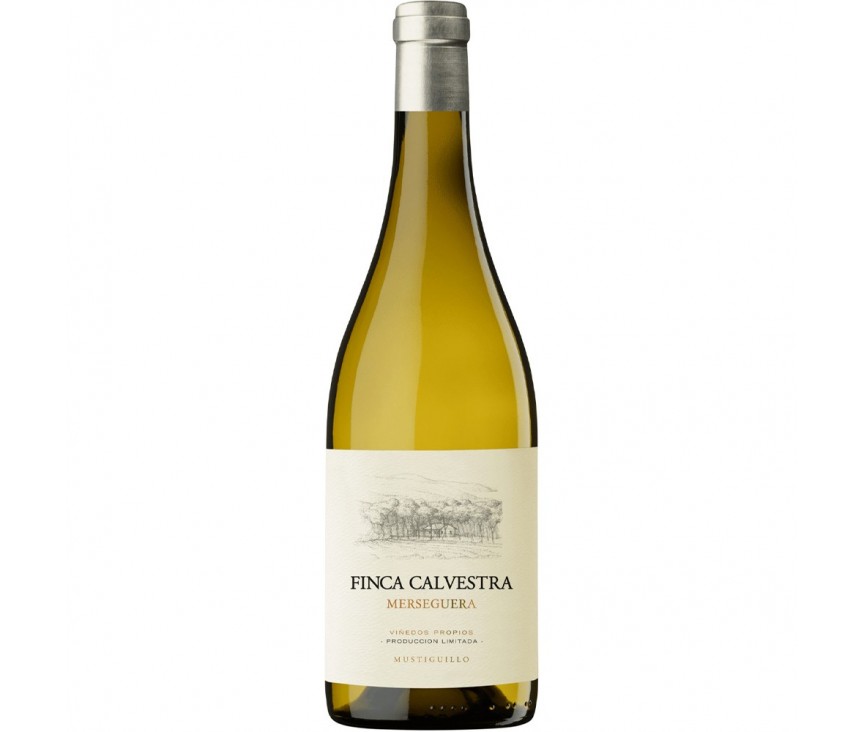 Finca Calvestra - Comprar Finca Calvestra - Comprar Vinho Branco - Vinho