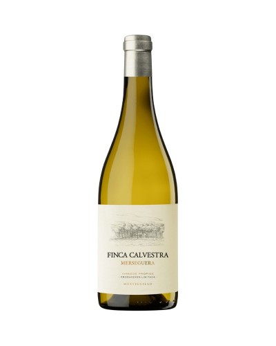 Finca Calvestra - Comprar Finca Calvestra - Comprar Vinho Branco - Vinho