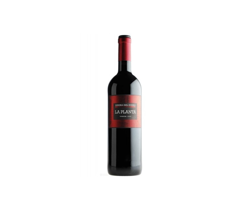 Vin rouge La Planta 2014