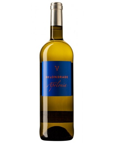 Quinta Apolónia - Belondrade e Lurton - Quinta Apolónia vinho branco