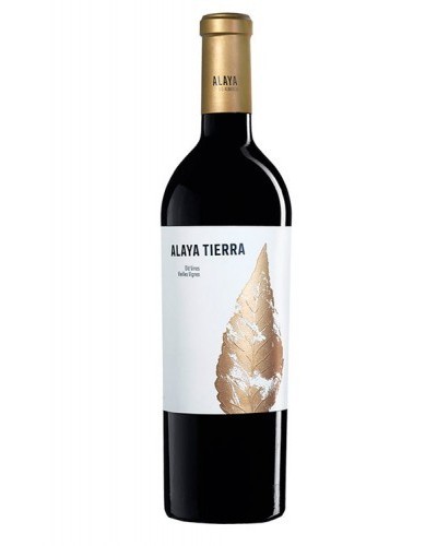 alaya tierra - comprar alaya tierra  - comprar vino tinto - almansa